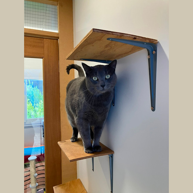 Photo of Norbert