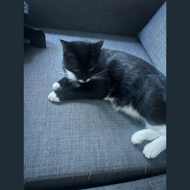 Photo of Bissy
