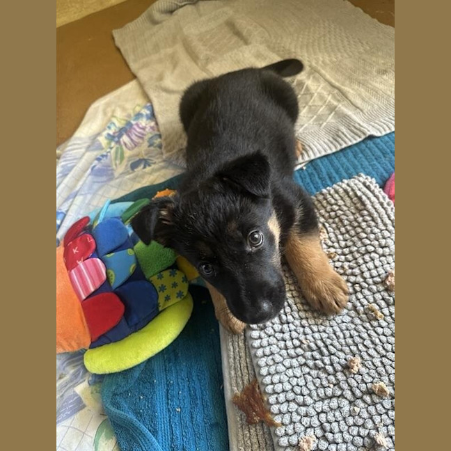 Photo of Freya Nee Mizuki