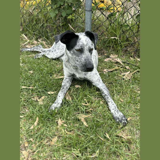 Photo of 🎀 Monica 5585 🎀