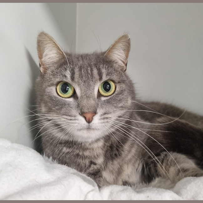 Photo of Tutti