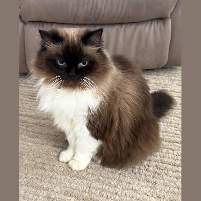 Photo of Maggie