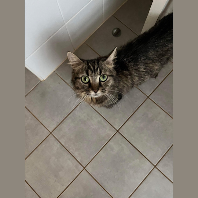 Photo of Nashi (Quinn)