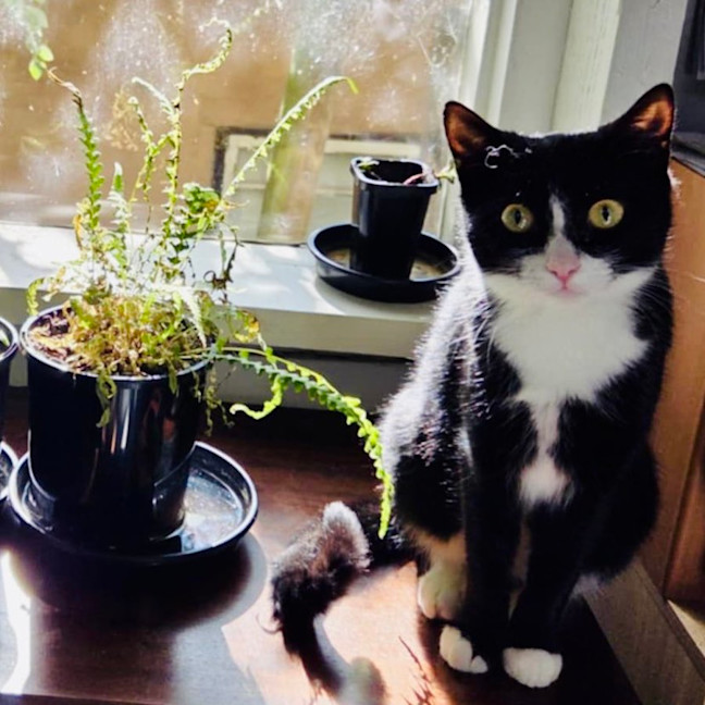 Photo of Edith   Located In Warrandyte