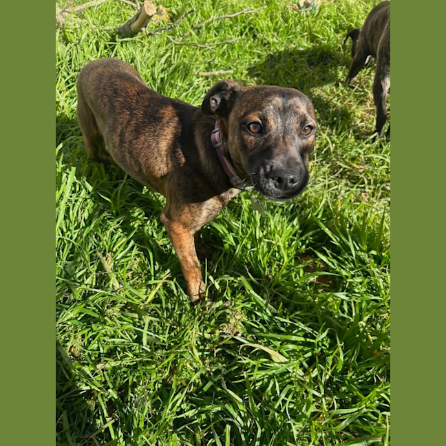 Photo of General Munchkin