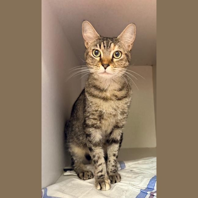 Photo of Alice