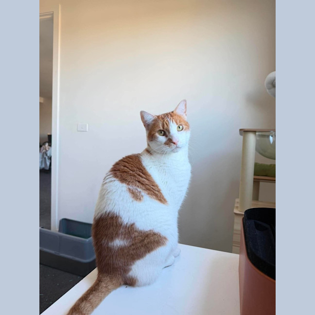 Photo of Monsieur Mason