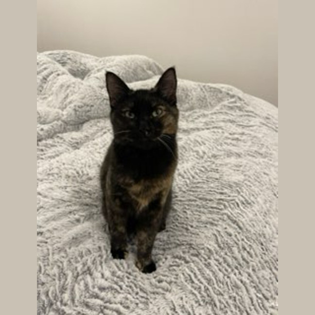 Photo of Abby 