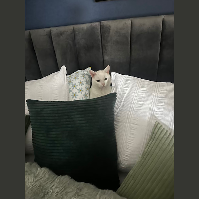 Photo of Wally