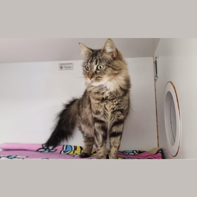 Photo of Lucette