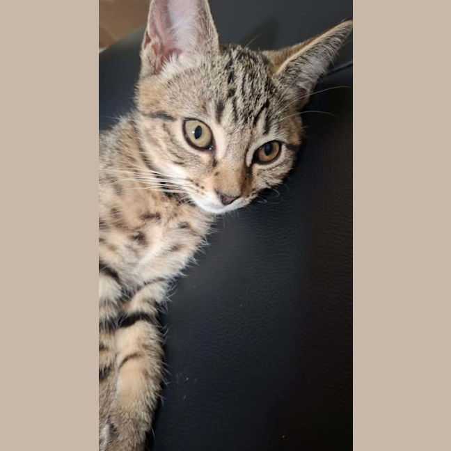 Photo of Hazel