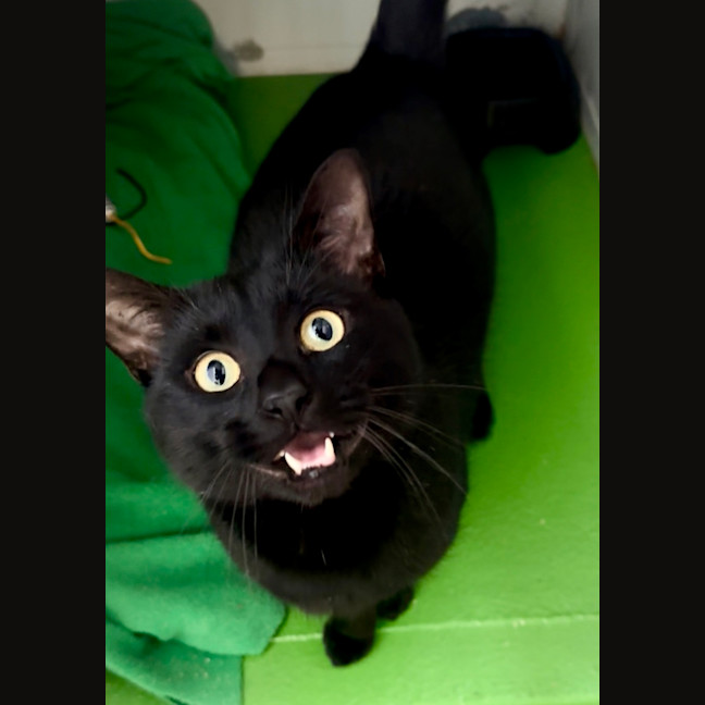 Photo of Bruce