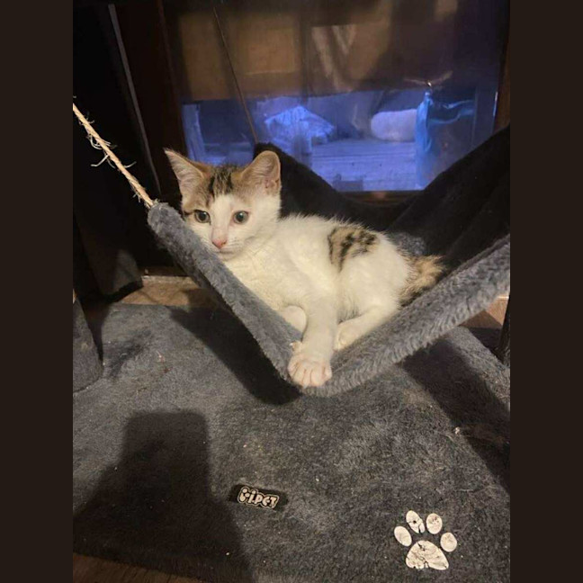 Photo of Marceline 
