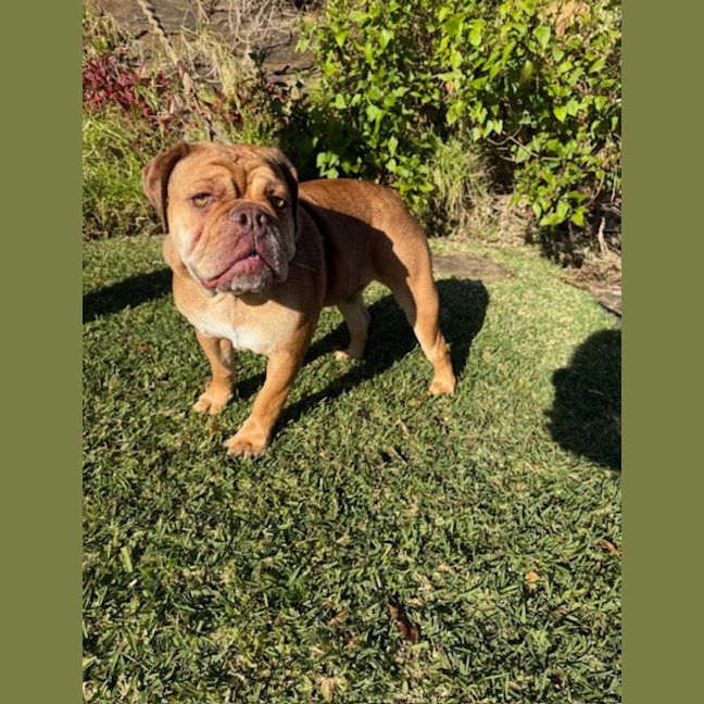 Photo of Macho