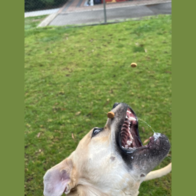 Photo of Buffy