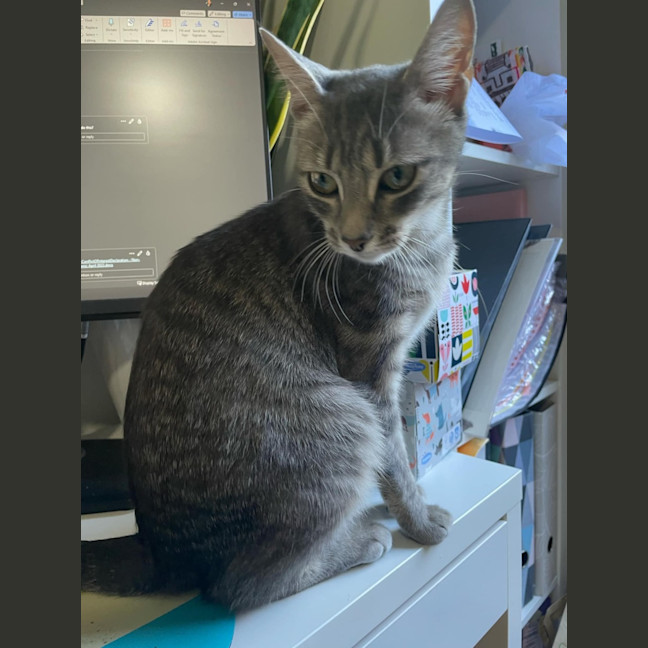 Photo of Aurora   Located In Bentleigh East