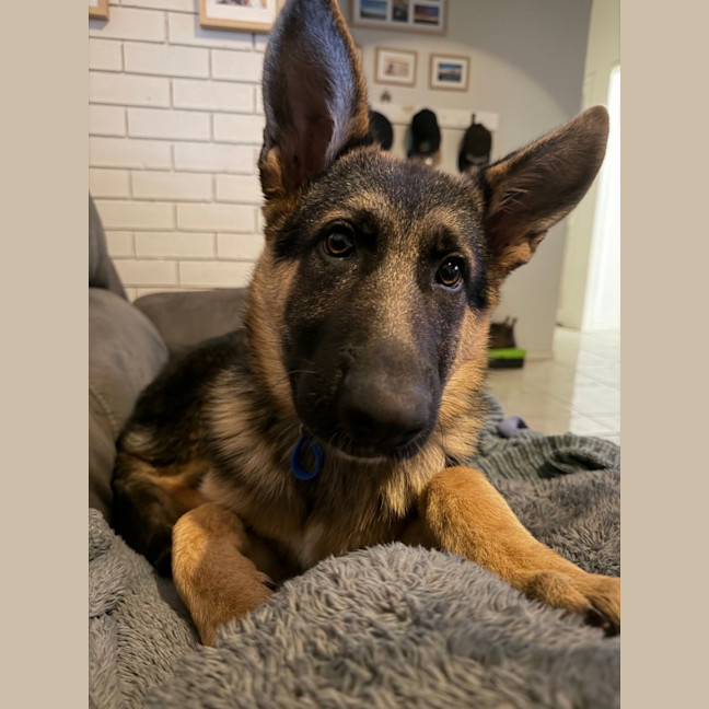 Photo of Grady