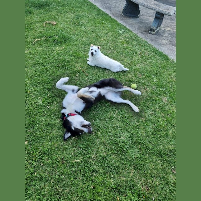 Photo of Zuri Mitrovic