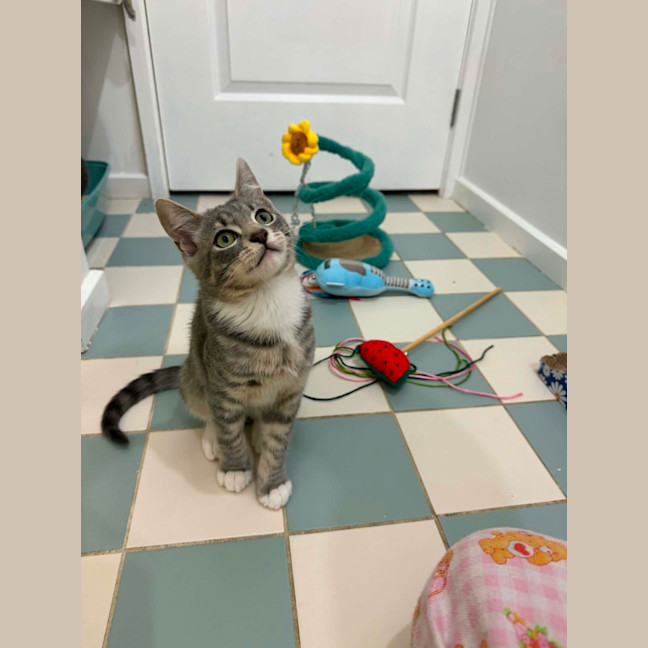 Photo of Smooch