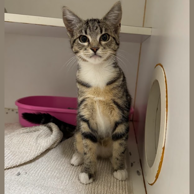 Photo of Kiki