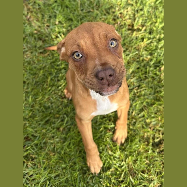 Photo of Spark