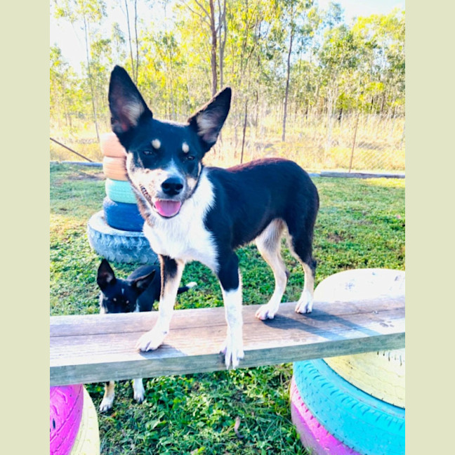 Photo of Pg (Pretty Girl)