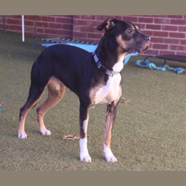 Photo of Athena