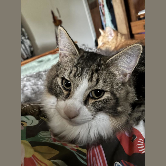 Photo of Nikolai