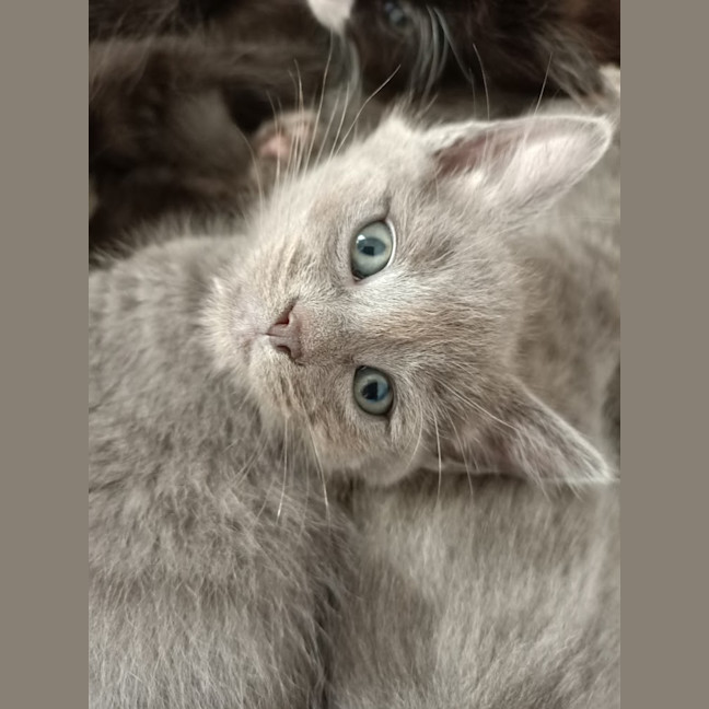 Photo of Wonwoo