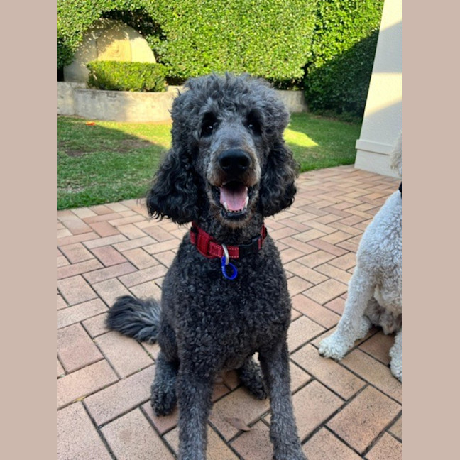 Photo of George And Bobby