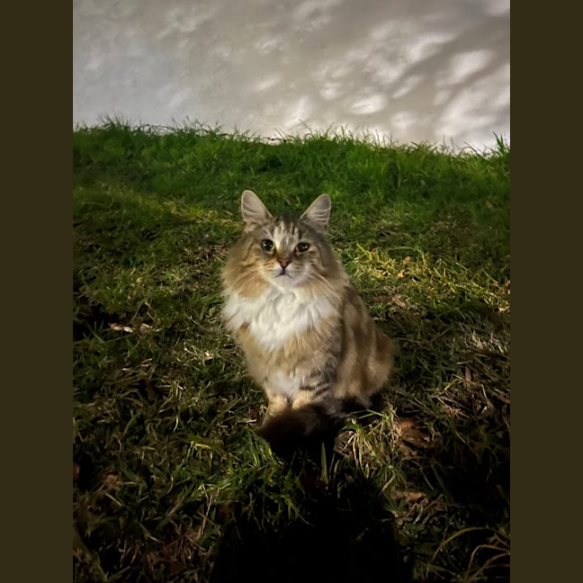 Photo of Test