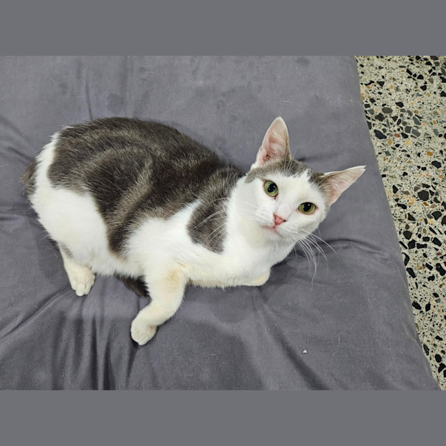 Photo of Mabel