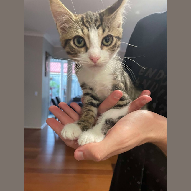 Photo of 😄 Marty 😄