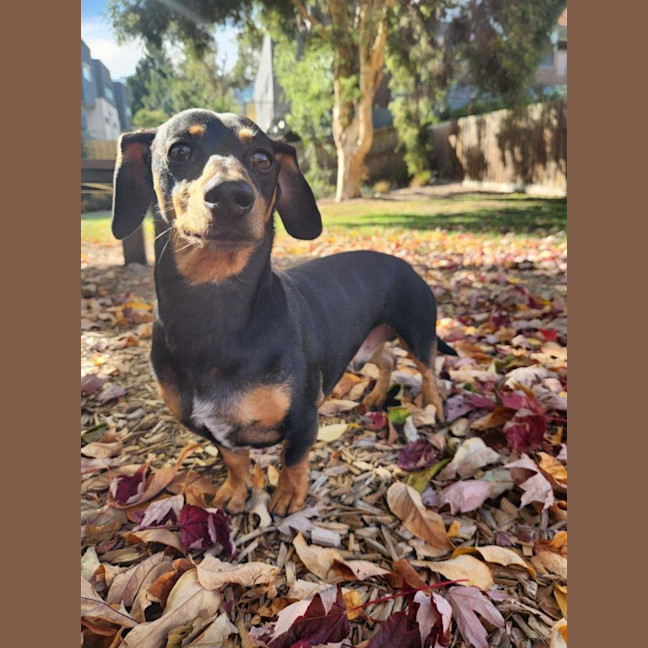 Photo of Pepe Cervantes