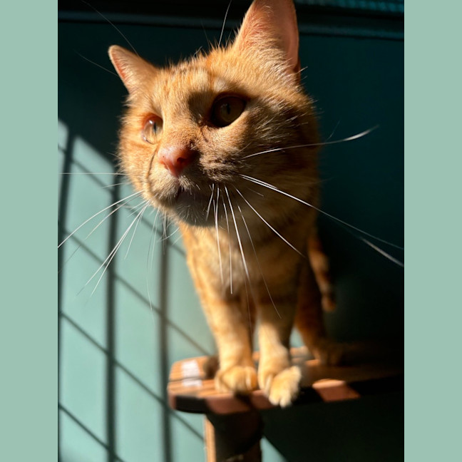 Photo of Fred