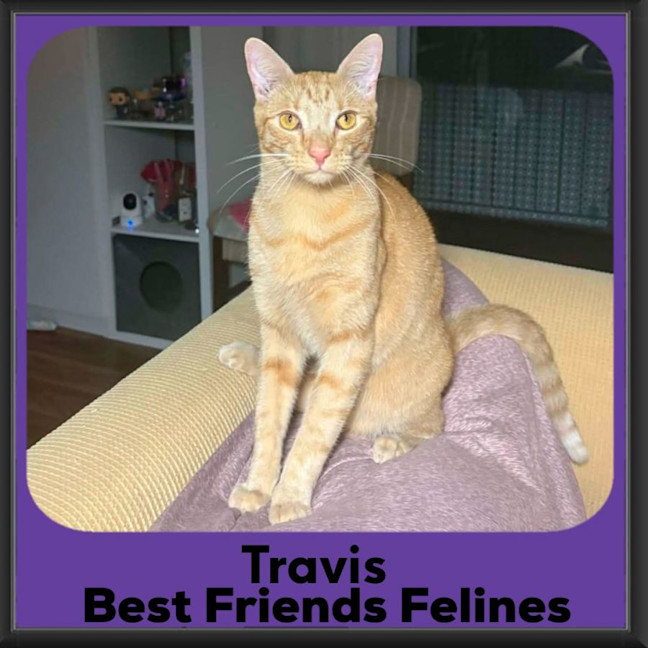 Photo of Travis 