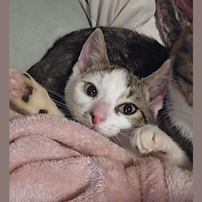 Photo of Mia