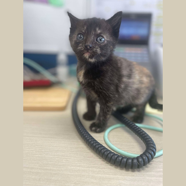 Photo of Sally