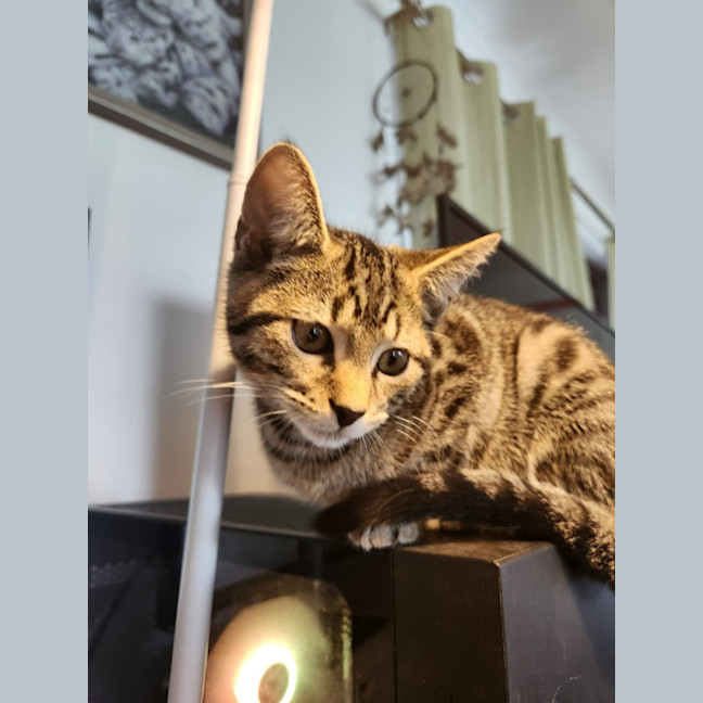 Photo of Oliver
