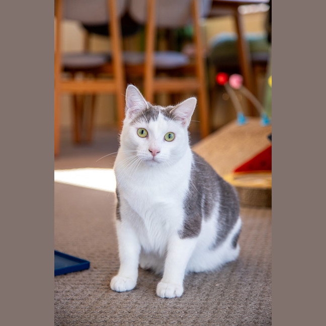 Photo of Clyde