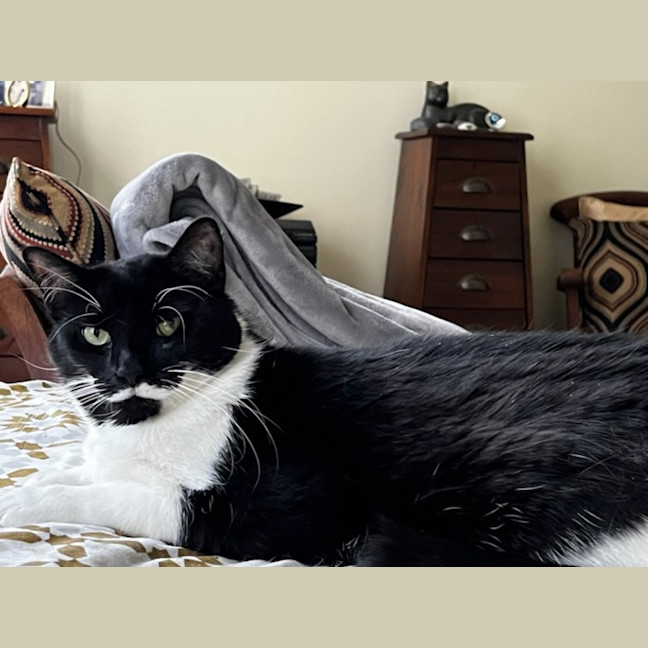 Photo of Munchkin Loves Apartment Living !