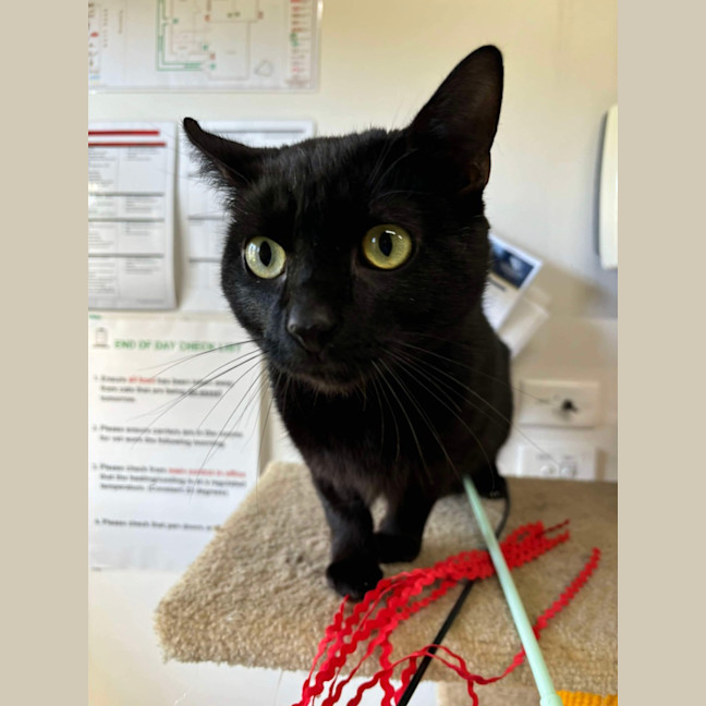 Photo of 🎐 Leroy 5499 🎐