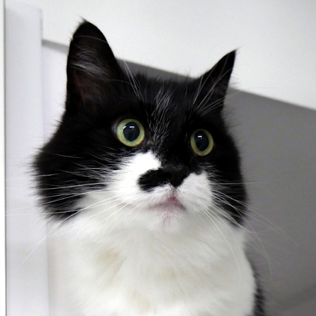 Photo of Marnie Sua014255