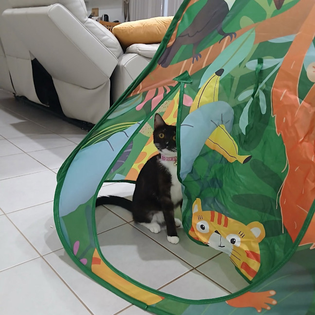 Photo of Yuki