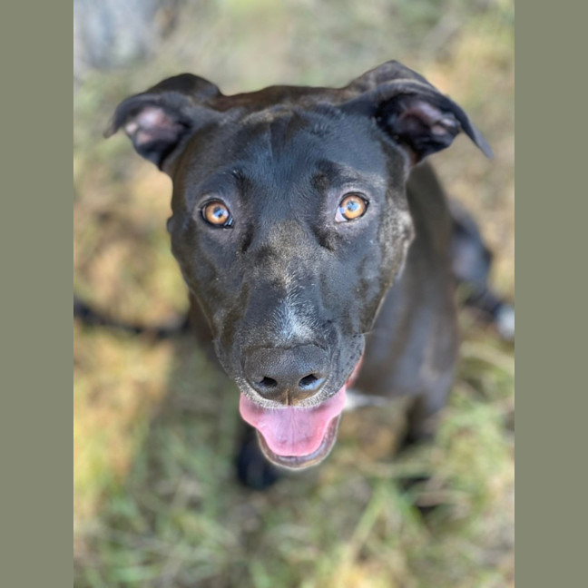 Photo of Molly