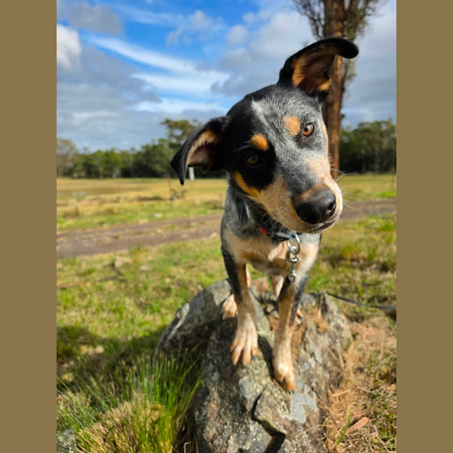 Photo of Wally