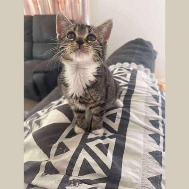 Photo of Lemon   Located In Kew