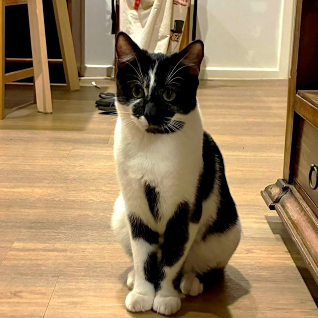 Photo of Marlow