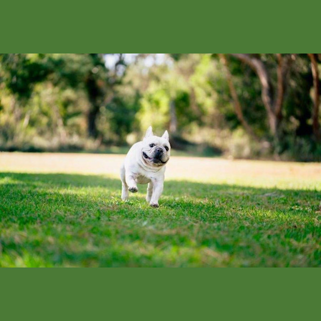 Photo of Bee O’cleary