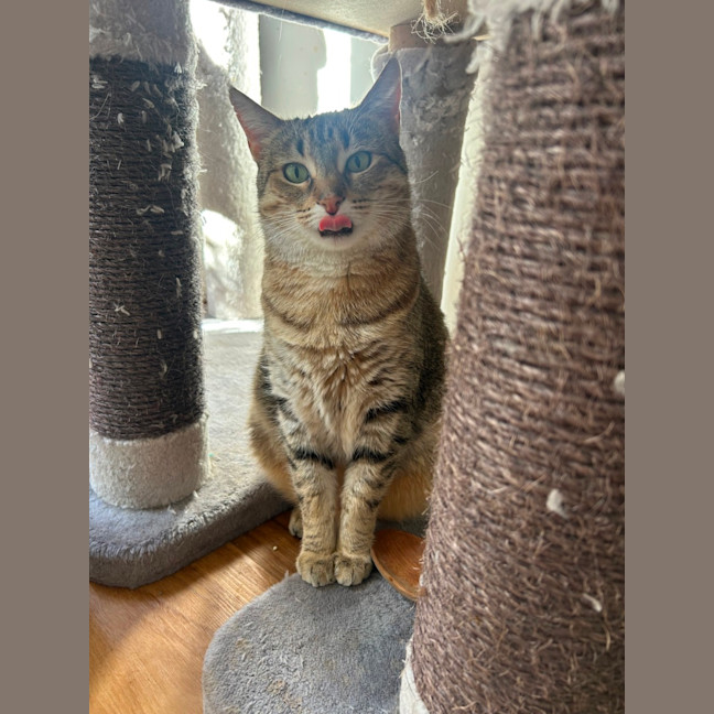 Photo of Esmerelda (Essie) 